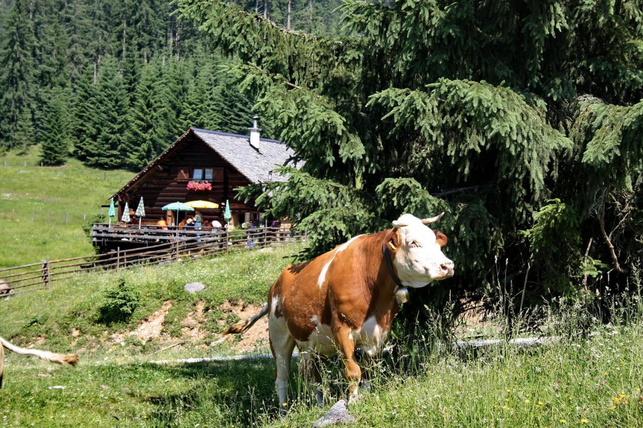 Chalet 164 Bad Goisern Exterior foto
